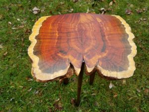Larry Ricci - Log Wood Burl Table